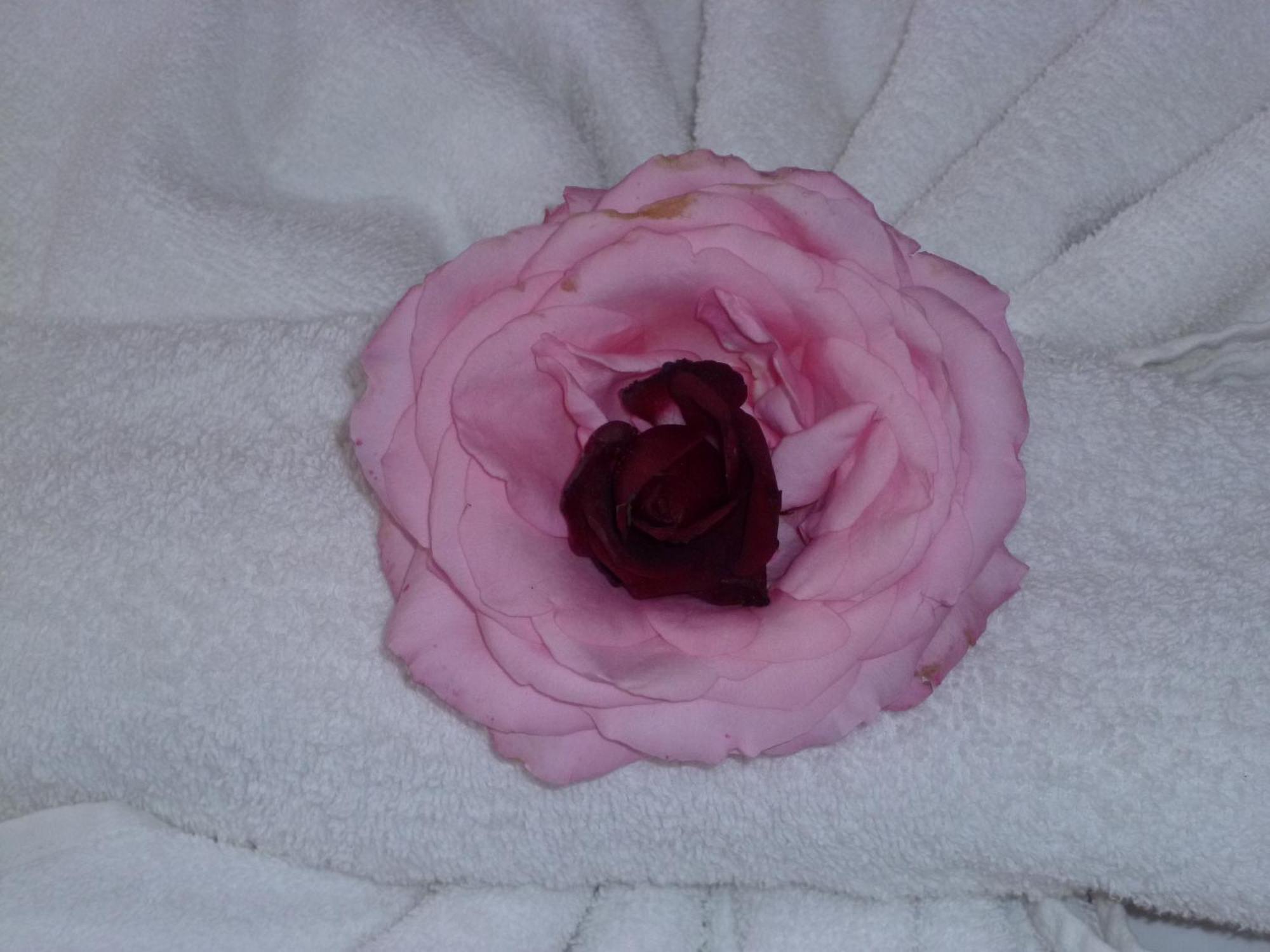 Aparthotel Rose Village Sunny Beach Esterno foto