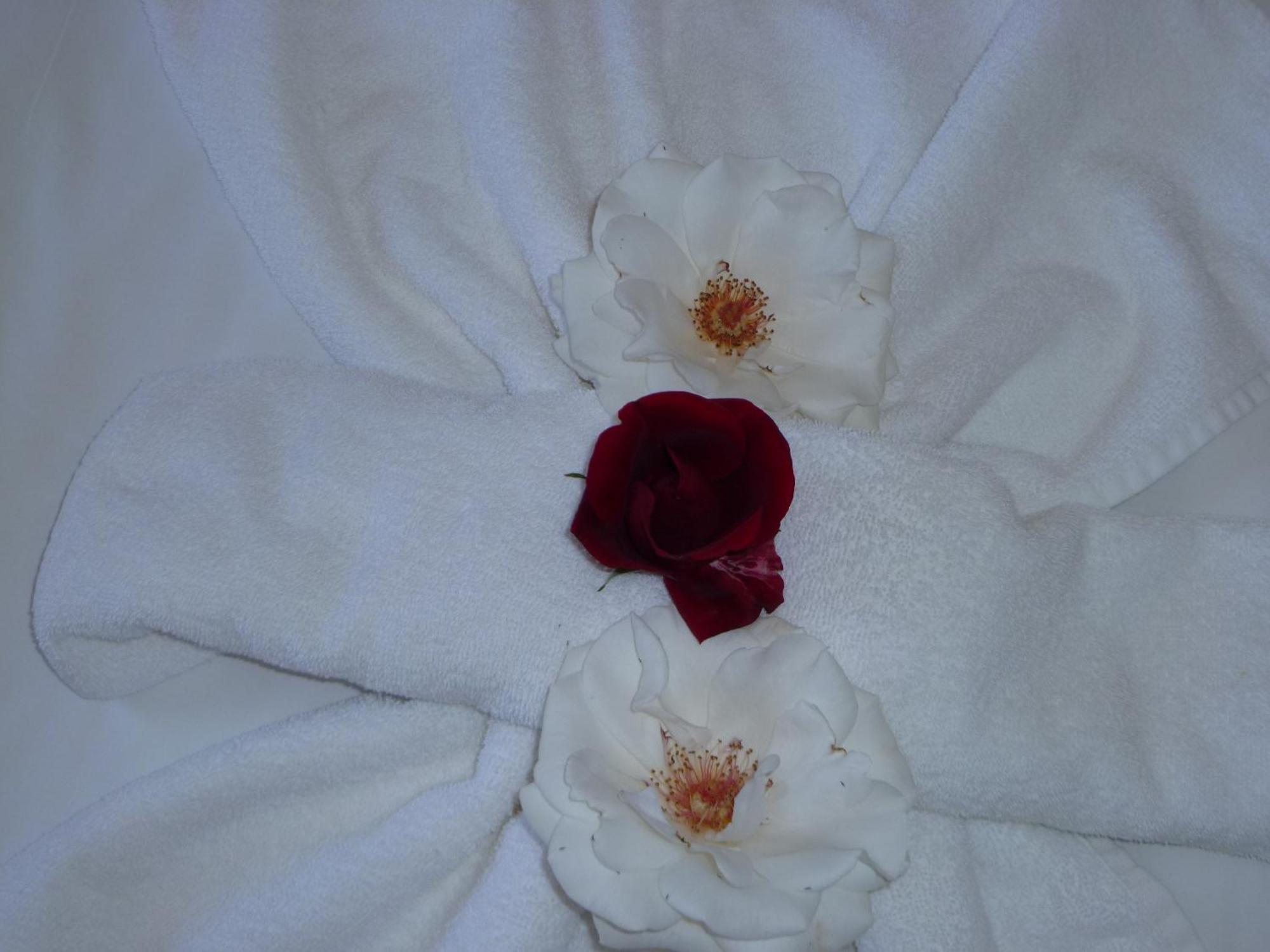 Aparthotel Rose Village Sunny Beach Esterno foto