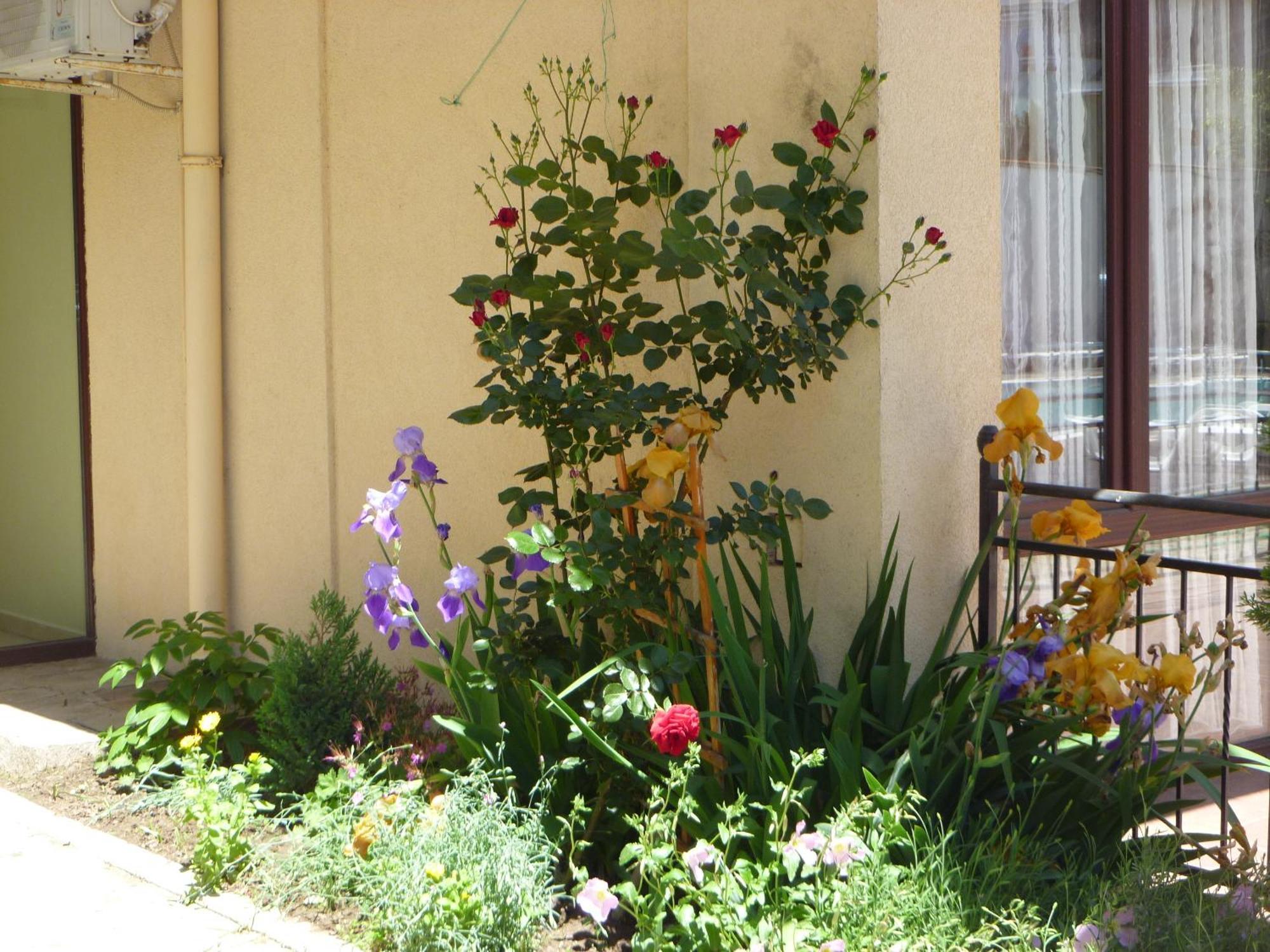 Aparthotel Rose Village Sunny Beach Esterno foto